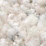 charcoal, cream, light gray, medium gray, beige