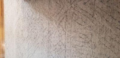 Guest review image 1 of 2, zoom in