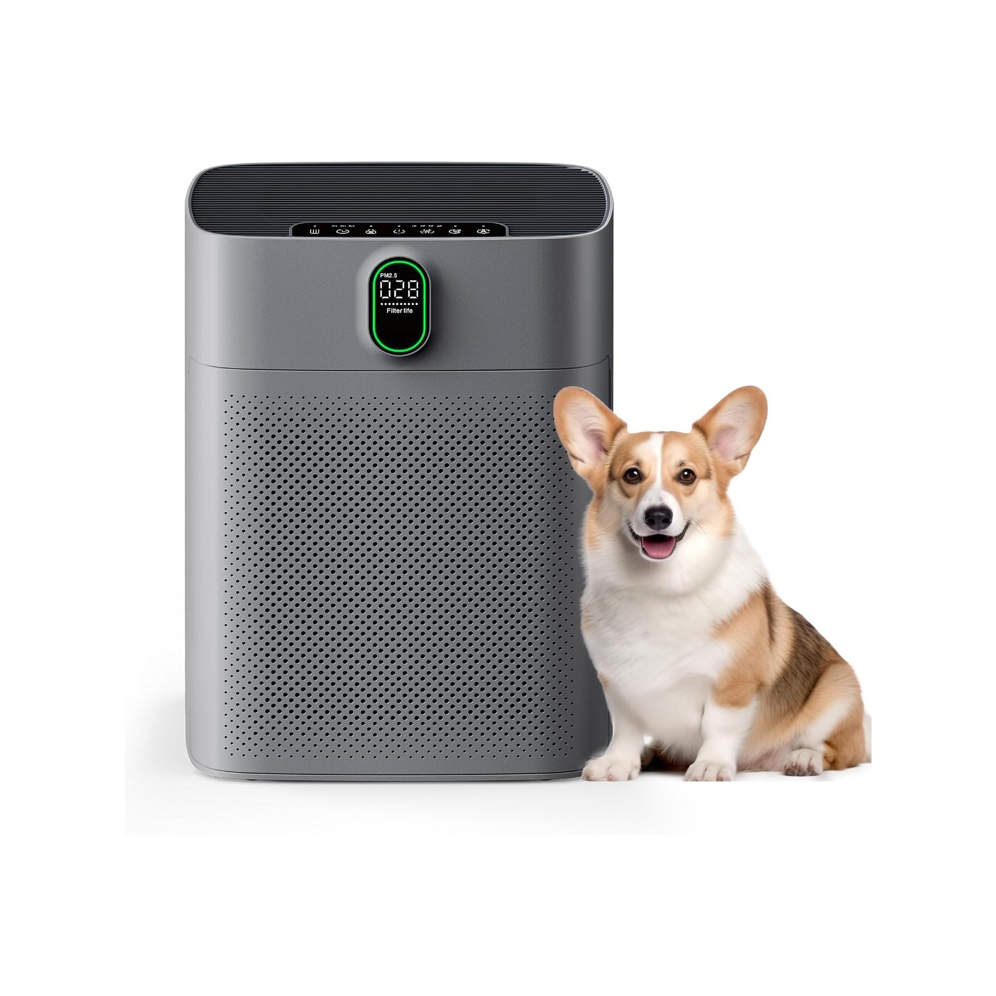 HEATDAZ HEPA Air Purifiers for Home Large Room,Double-sided Air Inlet,1 Pack,Grey