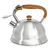 Mr. Coffee Woodmont 2 Quart Stainless Steel Stovetop Whistling Tea Kettle in Silver - 2 of 4