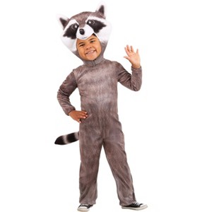 HalloweenCostumes.com Realistic Raccoon Toddler Costume - 1 of 1