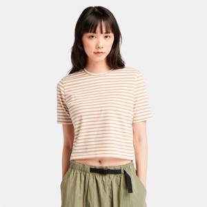 Timberland Women's Striped Cropped Short Sleeve T-Shirt - 1 of 4