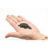CWG | Platypus, Duck Billed,  Very Nice Plastic Animal Toy, Figure, Model ,    2 1/2 "    CWG118 B238 - 3 of 4