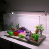 Unique Bargains Artificial Grass Ball for Fish Tank Landscape Decoration 2.56x4.72inch 1 Pc - 2 of 4
