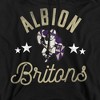 Albion College Official Britons Adult Pull-Over Hoodie - 2 of 4