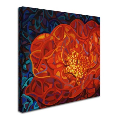 Trademark Fine Art -Mandy Budan 'Ribbons And Pearls' Canvas Art