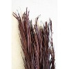 Bundle of 12 Khejur Leaves – 43" Tall Dark Brown Dried Decorative Botanicals by Kalalou - 2 of 3