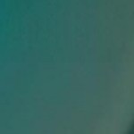 blue screw accessory kit