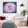 Stupell Industries Dew Kissed Pink Chrysanthemum Floating Frame Canvas Art - 3 of 4