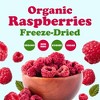Organic Freeze-Dried Raspberries – by Food to Live - 3 of 4