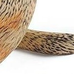 d 16pcs woodland animals-2