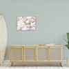 Stupell Industries White Mixed Sand Dollar Shells Framed Giclee Art - 3 of 4