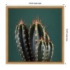 Amanti Art Cactus IV by Andre Eichman Canvas Wall Art Print Framed 16 x 16-in. - 4 of 4
