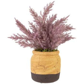 Northlight 12" Artificial Purple Cypress Plant in a Ceramic Pot