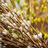 Sullivans Artificial Pip Berry Stem Set of 3, 23"H Yellow - 2 of 3