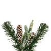 Vickerman Artificial Frosted Berry Mixed Pinecone Collection - 2 of 4