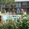 4 Pack Metal Garden Trellis 71" x 17.7" Rustproof Trellis for Climbing Plants Outdoor Flower Support Black - 4 of 4