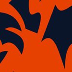 chicago bears
