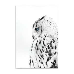 Stupell Industries Snow Owl Peering Blue Eyes Wall Plaque Art, 13" x 19" - 1 of 4