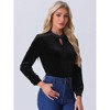 Allegra K Women's Velvet Stand Collar Long Sleeve Elegant Casual Blouse - 4 of 4