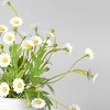 11" x 9" Artificial Daisy Plant Arrangement in Ceramic Pot White - Threshold™ - image 3 of 4
