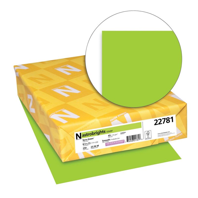 Astrobrights Card Stock, 8-1/2 x 11 Inches, Terra Green, Pack of 250, 1 of 4