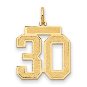 Black Bow Jewelry 14k Yellow Gold, Jersey Collection, Medium Number 30 Pendant - 1 of 3