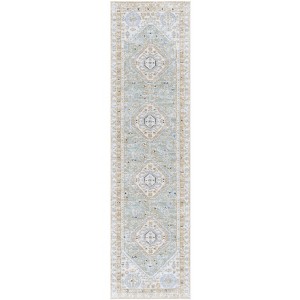 Bayside BAY118 Machine Washable Power Loomed Indoor Rugs - Safavieh - 1 of 4