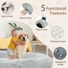 Memory Foam Washable Dog Bed - 3 of 4