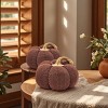 FURNIinspire Decorative Objects Pumpkin Pumpkin Ornament Decor Set Of 2, Holiday Festival Gifts, Table Decorations, Brown, 8.3"*8.3"*5.3" - 4 of 4