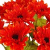 Darice 16.5" Blood Orange Artificial Spider Daisy Floral Spray - 2 of 2