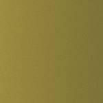 Offbeat Olive