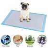 Costway 300 PCS 17'' X 24'' Puppy Pet Pads Dog Cat Wee Pee Piddle Pad Training Underpads - image 2 of 4