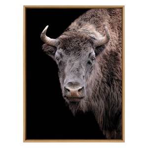 Kate & Laurel All Things Decor Sylvie Bison Canvas Art - 1 of 4