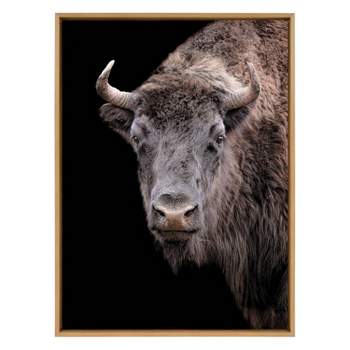 Kate & Laurel All Things Decor 31.5 "x 41.5" Sylvie American Bison Buffalo Yellowstone Wildlife Animal Framed Canvas Wall Art