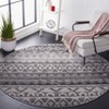 Adirondack ADR119 Non-Shedding Power Loomed Indoor Rugs - Safavieh - 2 of 4
