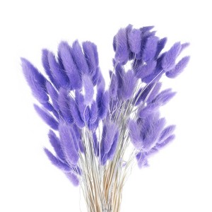 Unique Bargains Natural Dried Floral Bunny Tail Artificial Plants 60 Pcs - 1 of 4