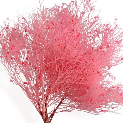 Alilang Decorative Dried Ming Fern Stems for Elegant Home Decoration and Creative Floral Arrangements, 19.5 Inches
