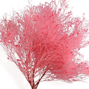 Alilang Decorative Dried Ming Fern Stems for Elegant Home Decoration and Creative Floral Arrangements, 19.5 Inches - 1 of 3