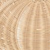 Saro Lifestyle Fall Harvest Rattan Pumpkin Placemat (Set of 4) - 4 of 4