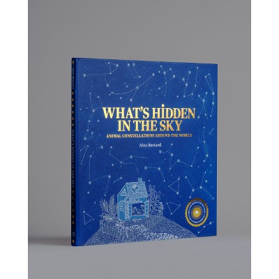 What's Hidden in the Sky - (Hardcover)