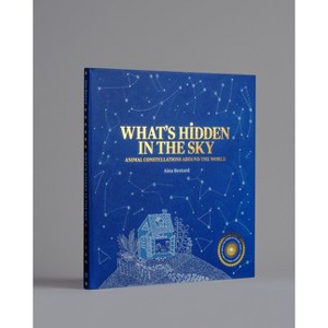 What's Hidden in the Sky - (Hardcover) - 1 of 1