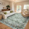Acekool Washable Floral Area Rug, Non-Slip Low Pile Soft Carpet, Stain Resistant Indoor Rug for Living Room, Bedroom, Dining Room - 4 of 4