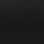 washington state cougars