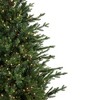 Northlight Real Touch™️ Pre-Lit Potted Deluxe Russian Pine Artificial Christmas Tree - 4' - Warm White LED Lights - 4 of 4
