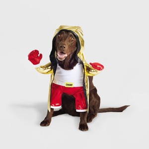 Halloween Frontal Boxer Dog and Cat Costume - Hyde and EEK! Boutique™ - 1 of 4