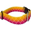 Country Brook Petz 1 1/2 Inch Deluxe Dog Collar - Abstract Collection - 3 of 4