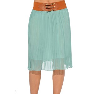 Just Love Skirts / Pleated Skirt - 1 of 3