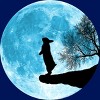 Junior's Design By Humans Moon Bunny By Maryedenoa T-Shirt - 2 of 3