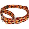 Country Brook Petz Martingale Dog Collar - Awesome Autumn Collection - 2 of 4